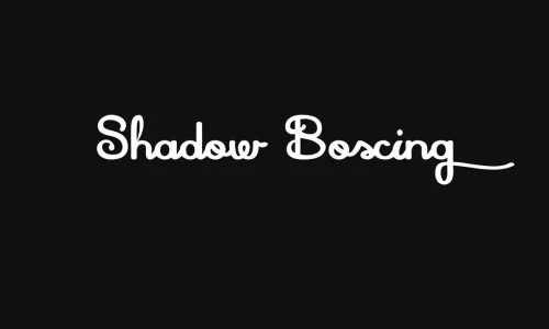 Shadow Boxing Font Free Download