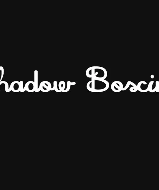 Shadow Boxing Font Free Download