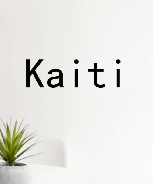 Kaiti Font Free Download
