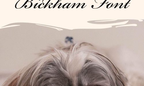 Bickham Font Free Download