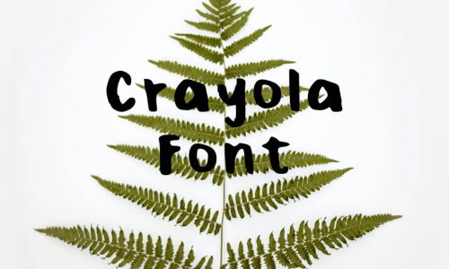 Crayola Font Free Download