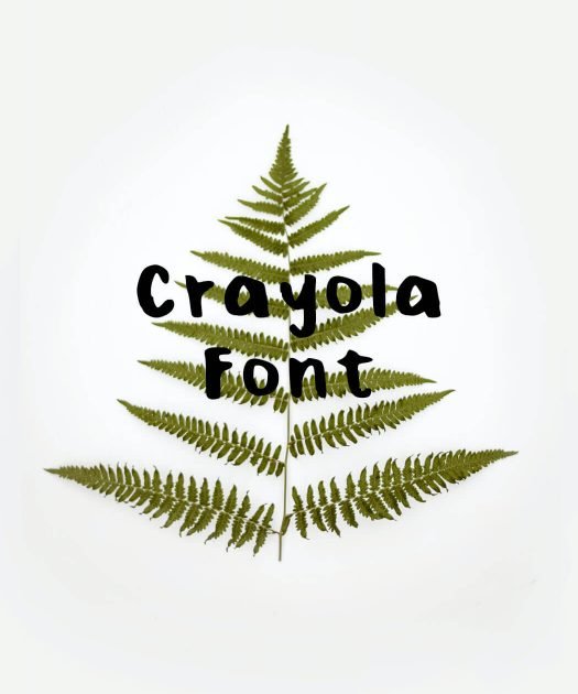 Crayola Font Free Download