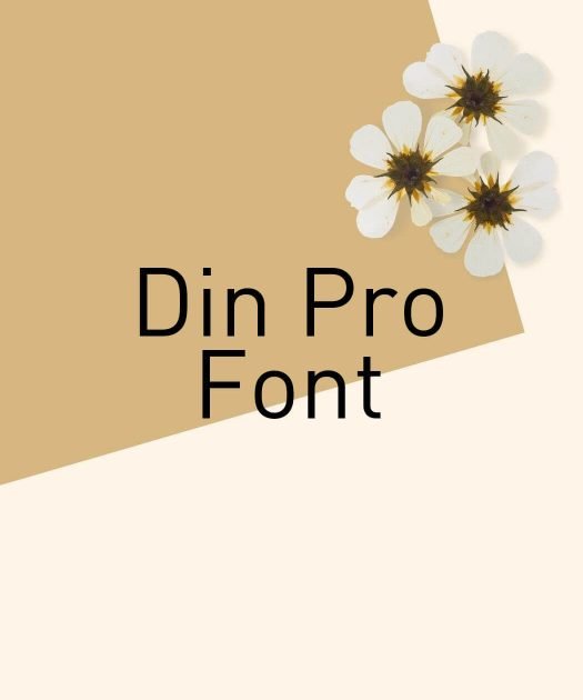 Din Pro Font Free Download