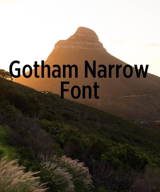 Gotham Narrow Font Free Download
