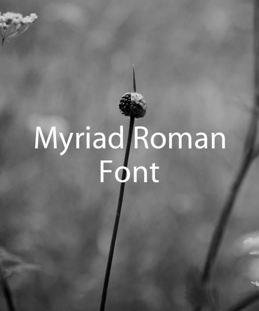 Myriad Roman Font Free Download
