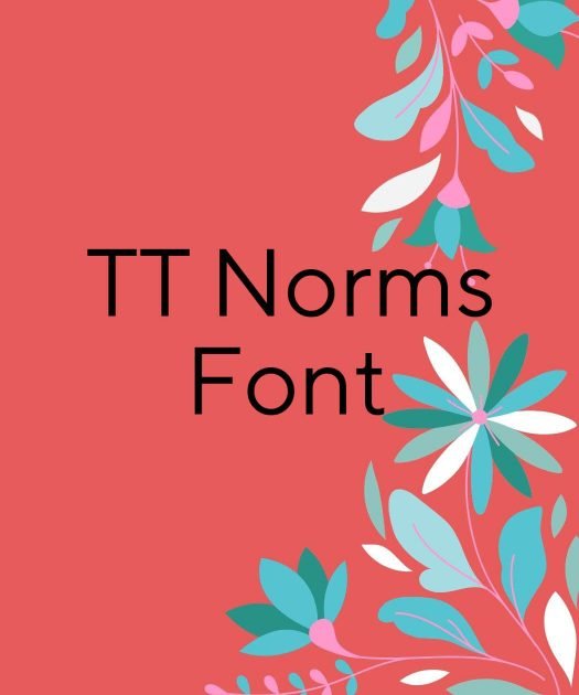 TT Norms Font Free Download