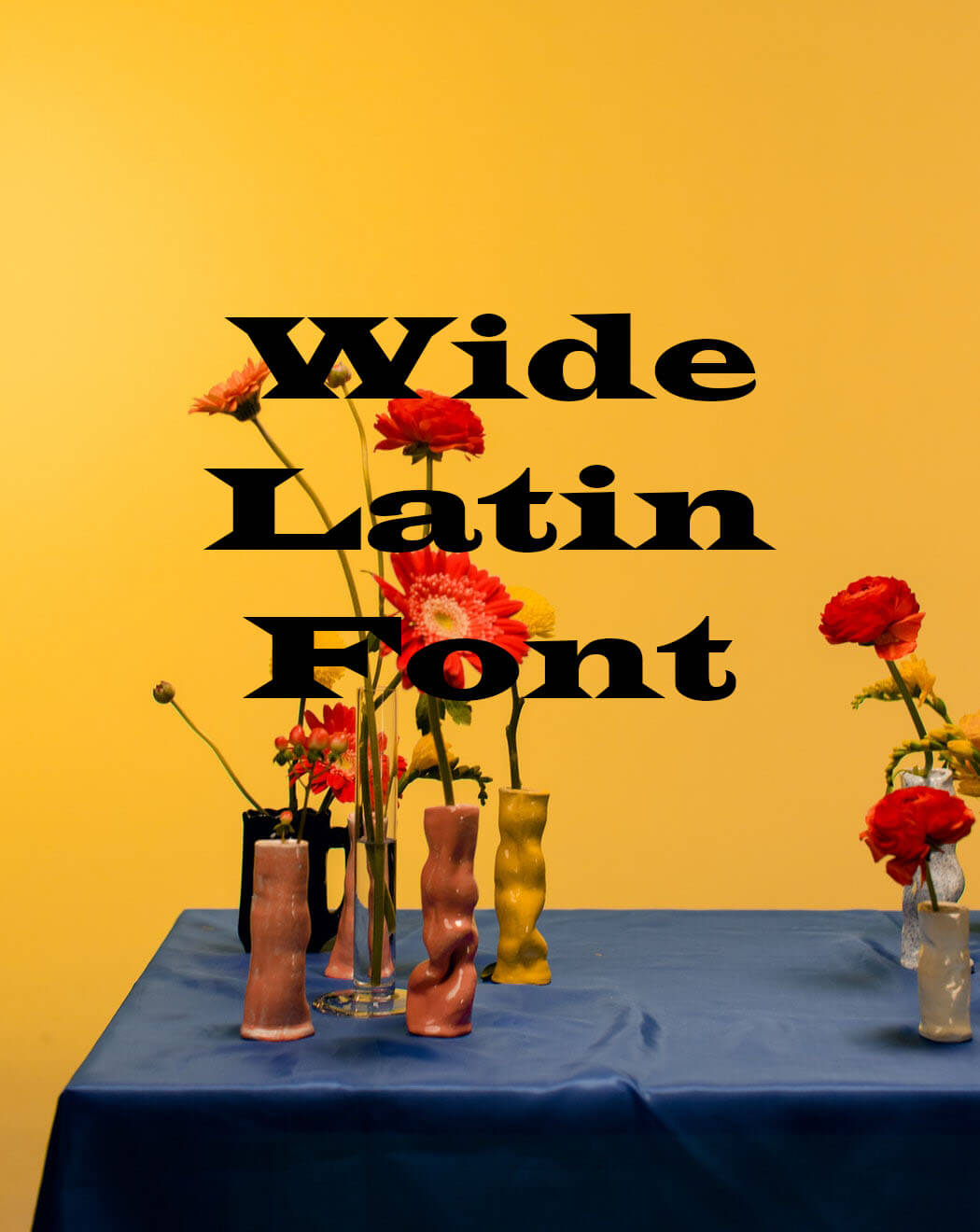 Wide Latin Font Free Download