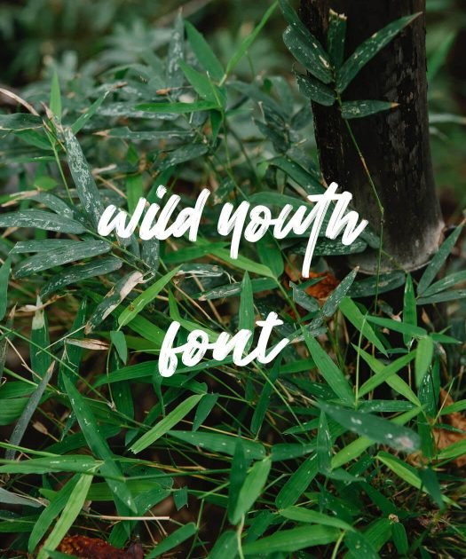 Wild Youth Font Free Download