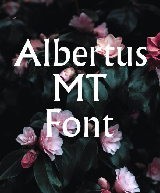 Albertus MT Font Free Download