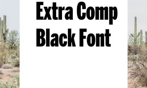 Benton Sans Comp Black Font Free Download