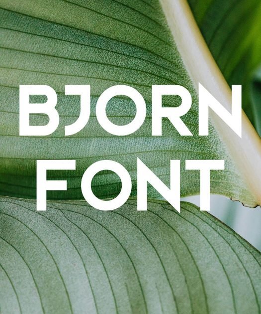 Bjorn Font Free Download