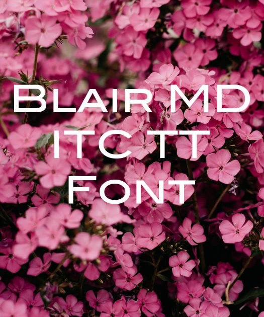 Blair MD ITC TT Font Free Download