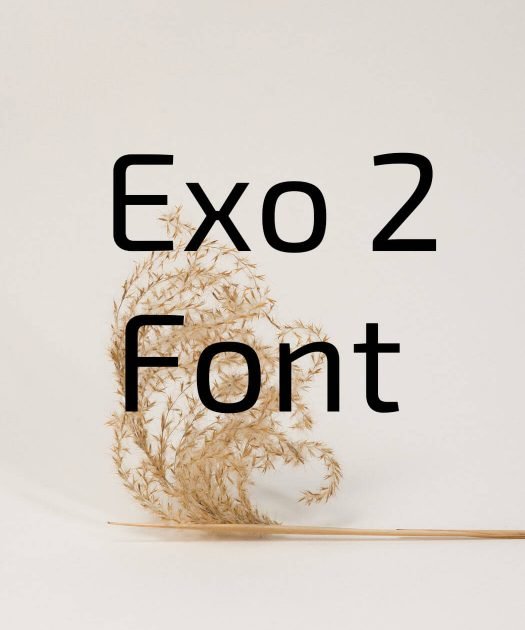 Exo 2 Font Free Download