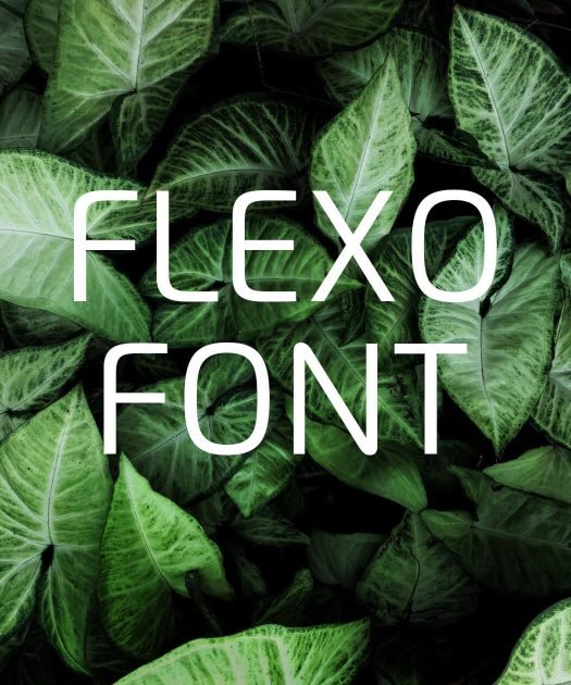 Flexo Font Free Download