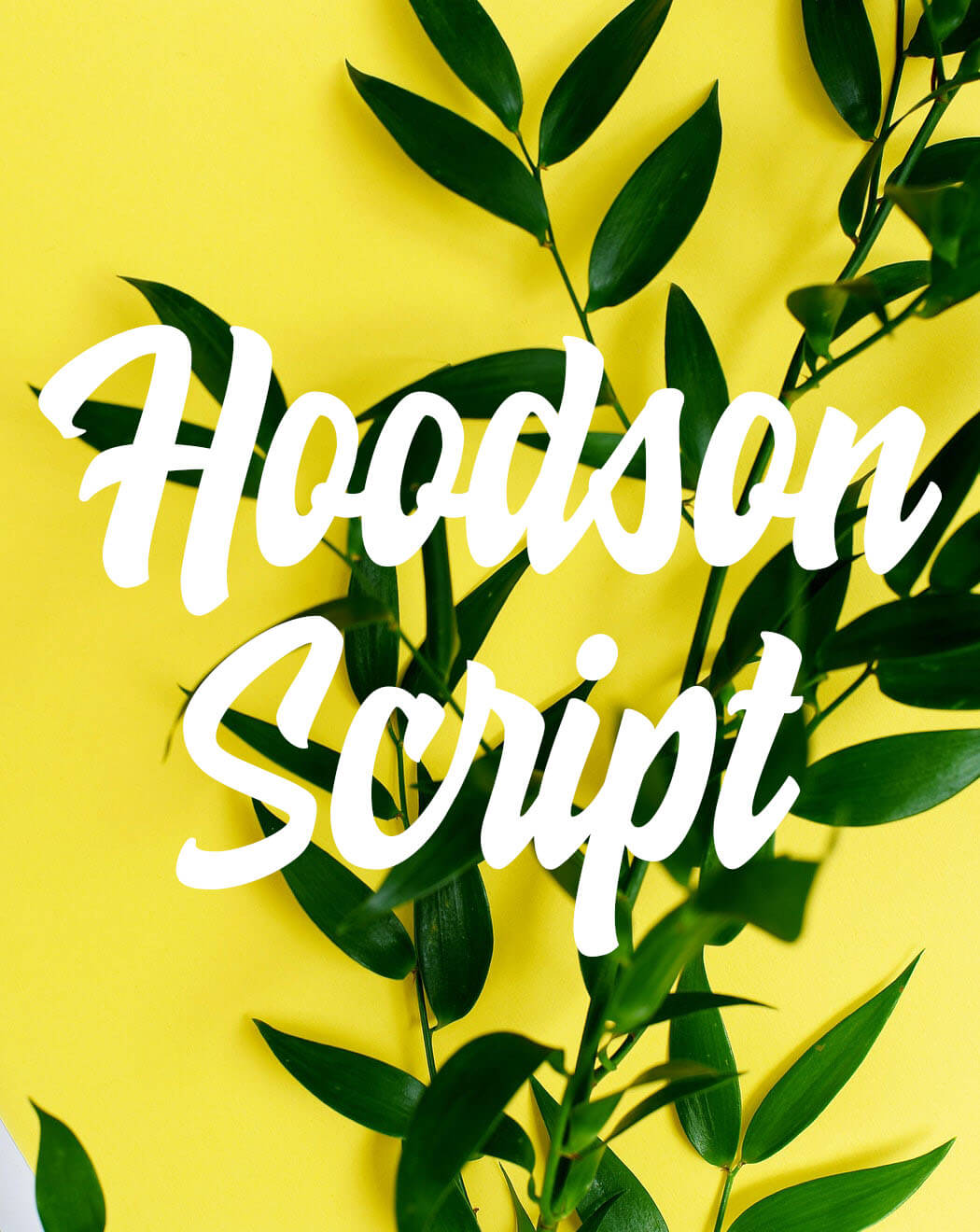 Hoodson Script Hoodson Script Font Free Download