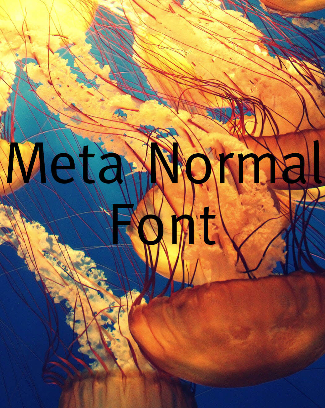 Meta Normal Font Meta Normal Font Free Download
