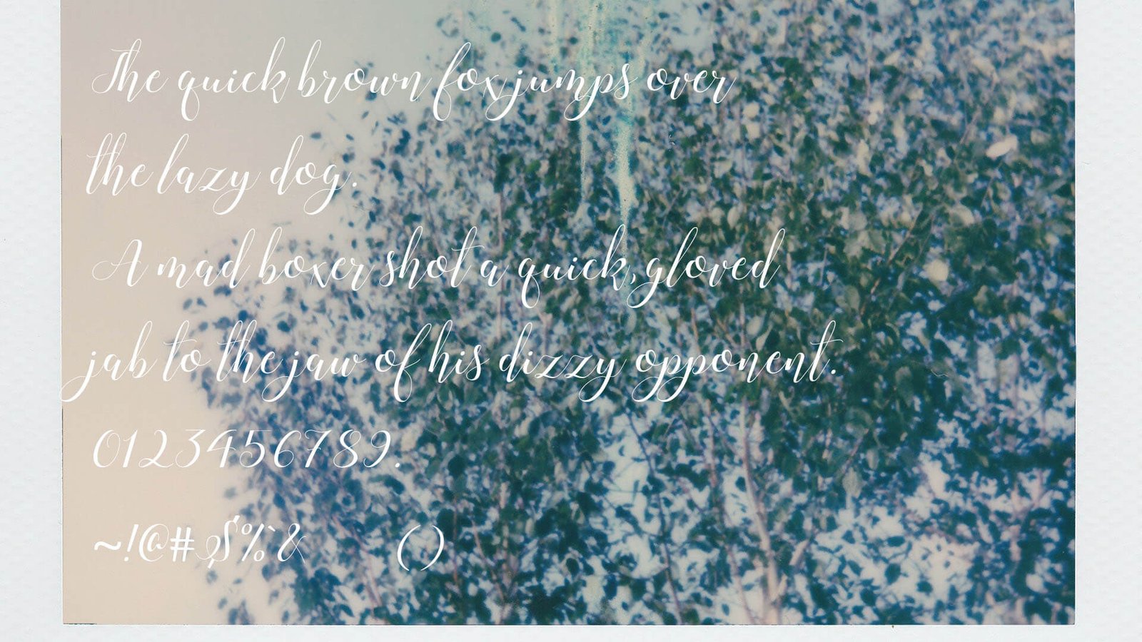 Montic Font