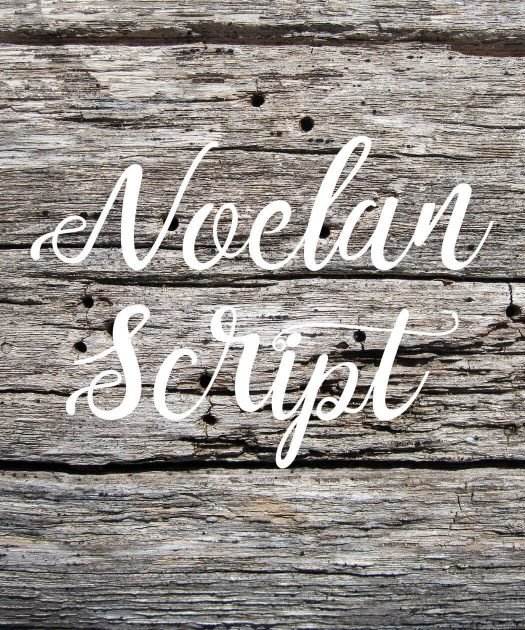 Noelan Script Font Free Download