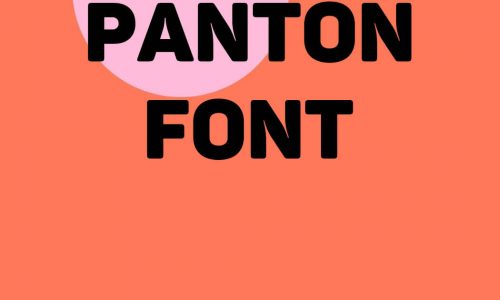 Panton Font Family Free Download