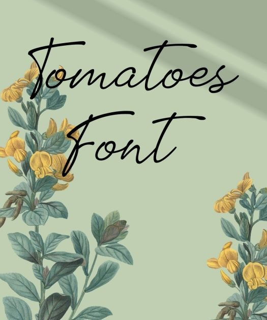 Tomatoes Font Free Download