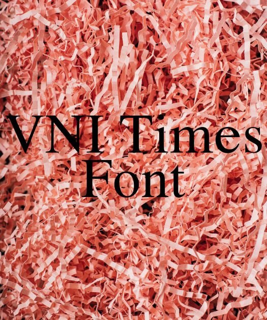 VNI Times Font Free Download