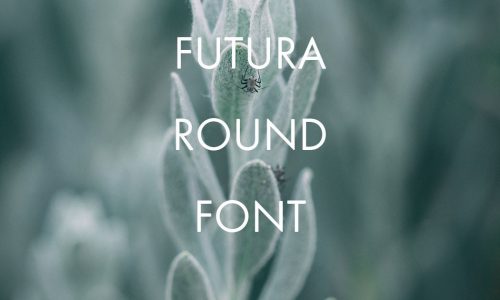 Futura Round Font Free Download