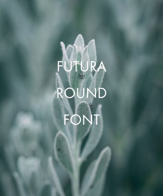 Futura Round Font Free Download