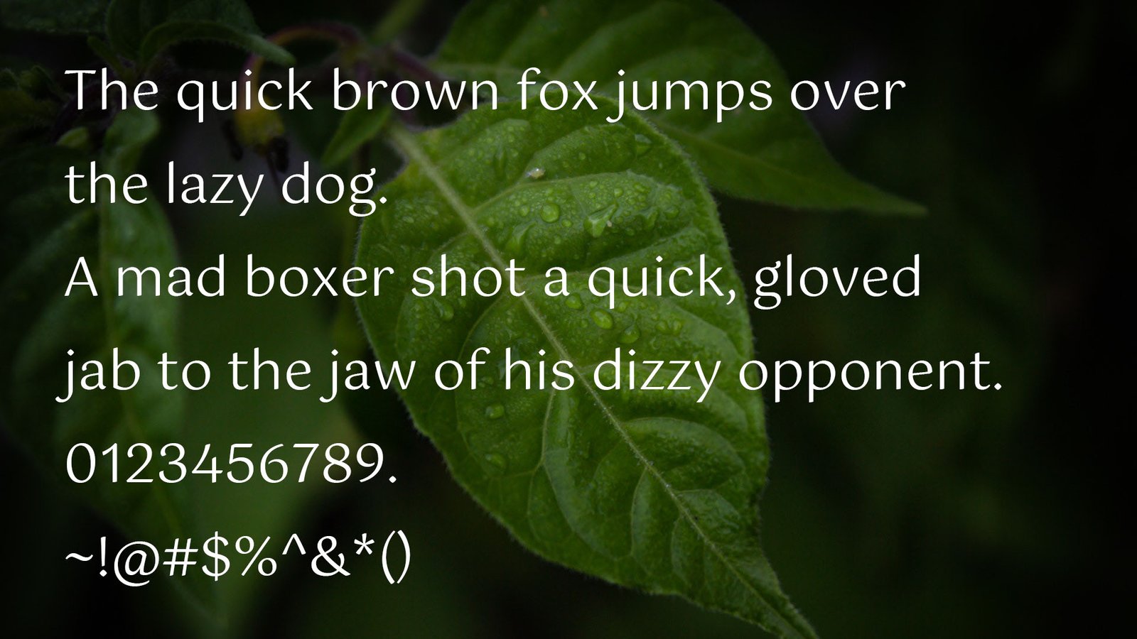 Gotu Font