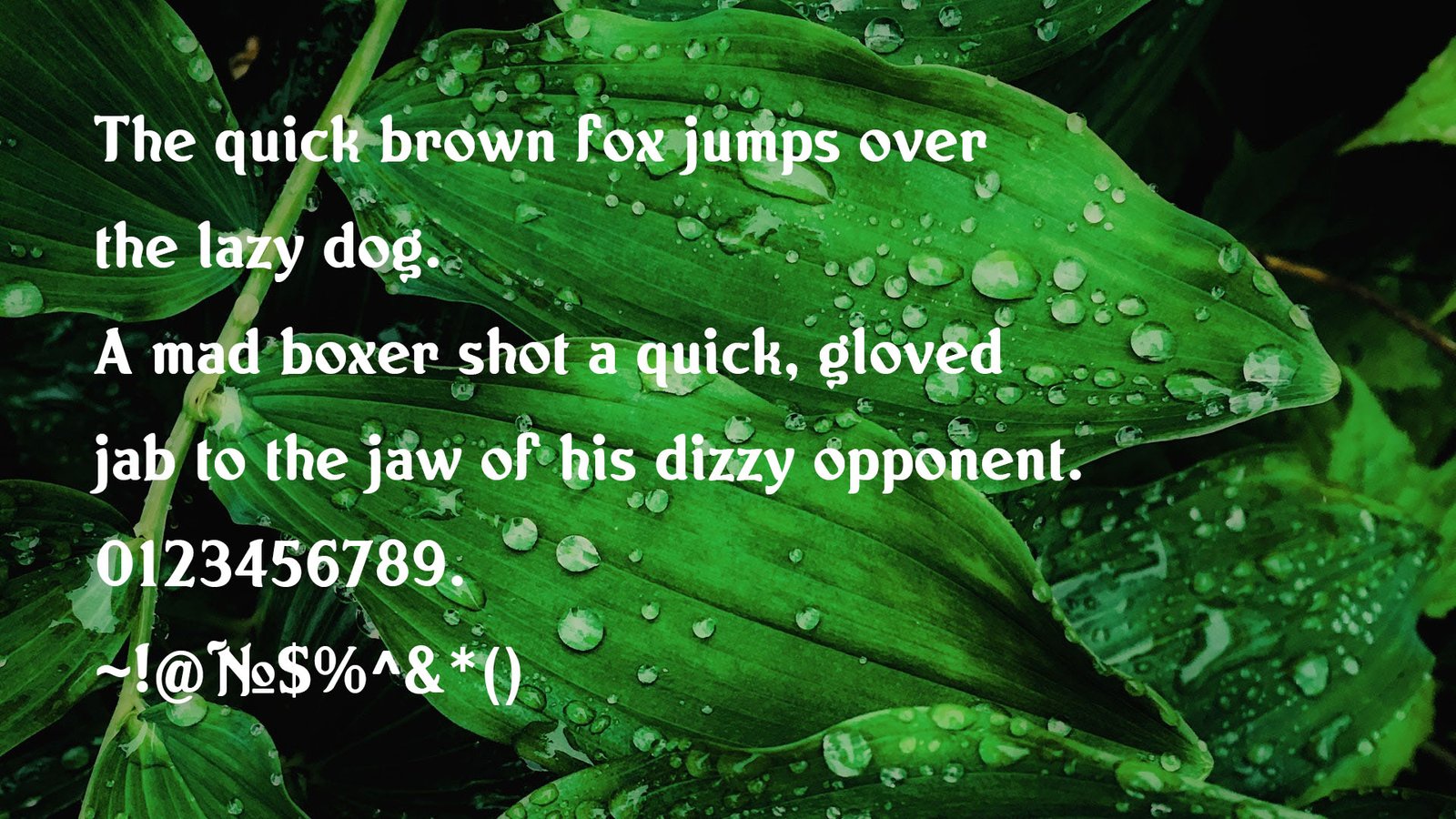 Norton Font