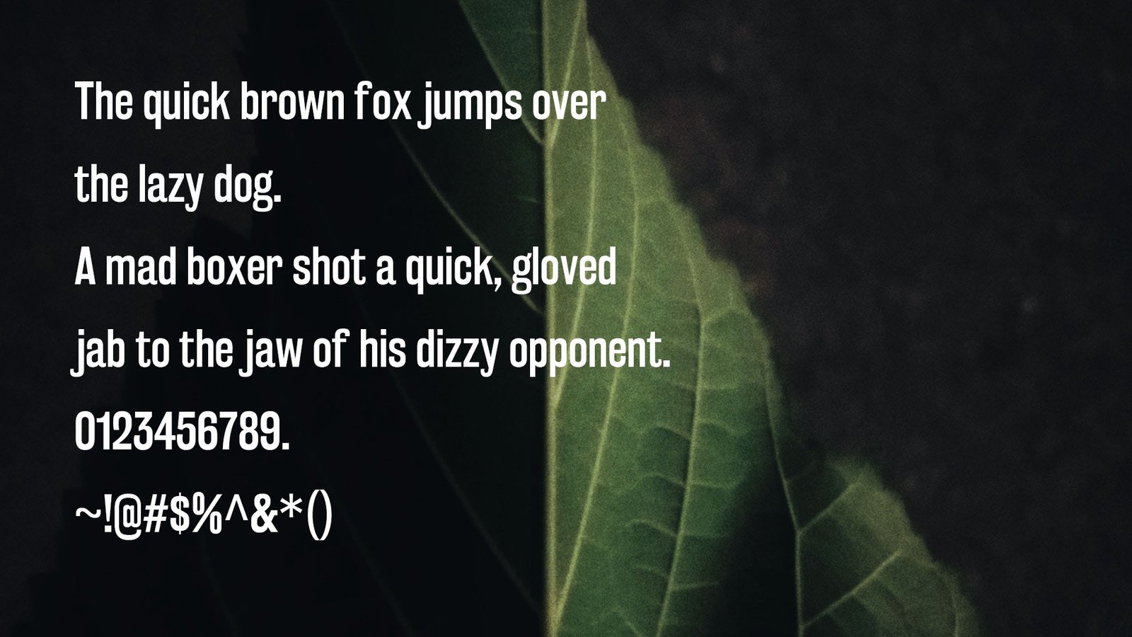 Rakesly Font