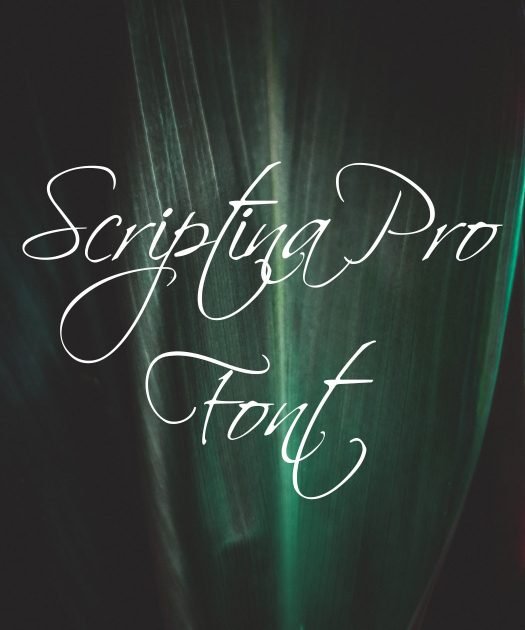 Scriptina Pro Font Free Download