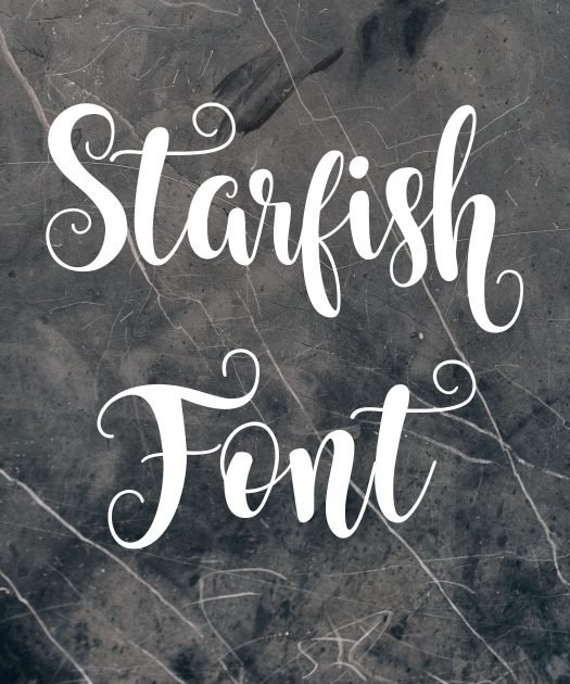 Starfish Font Free Download