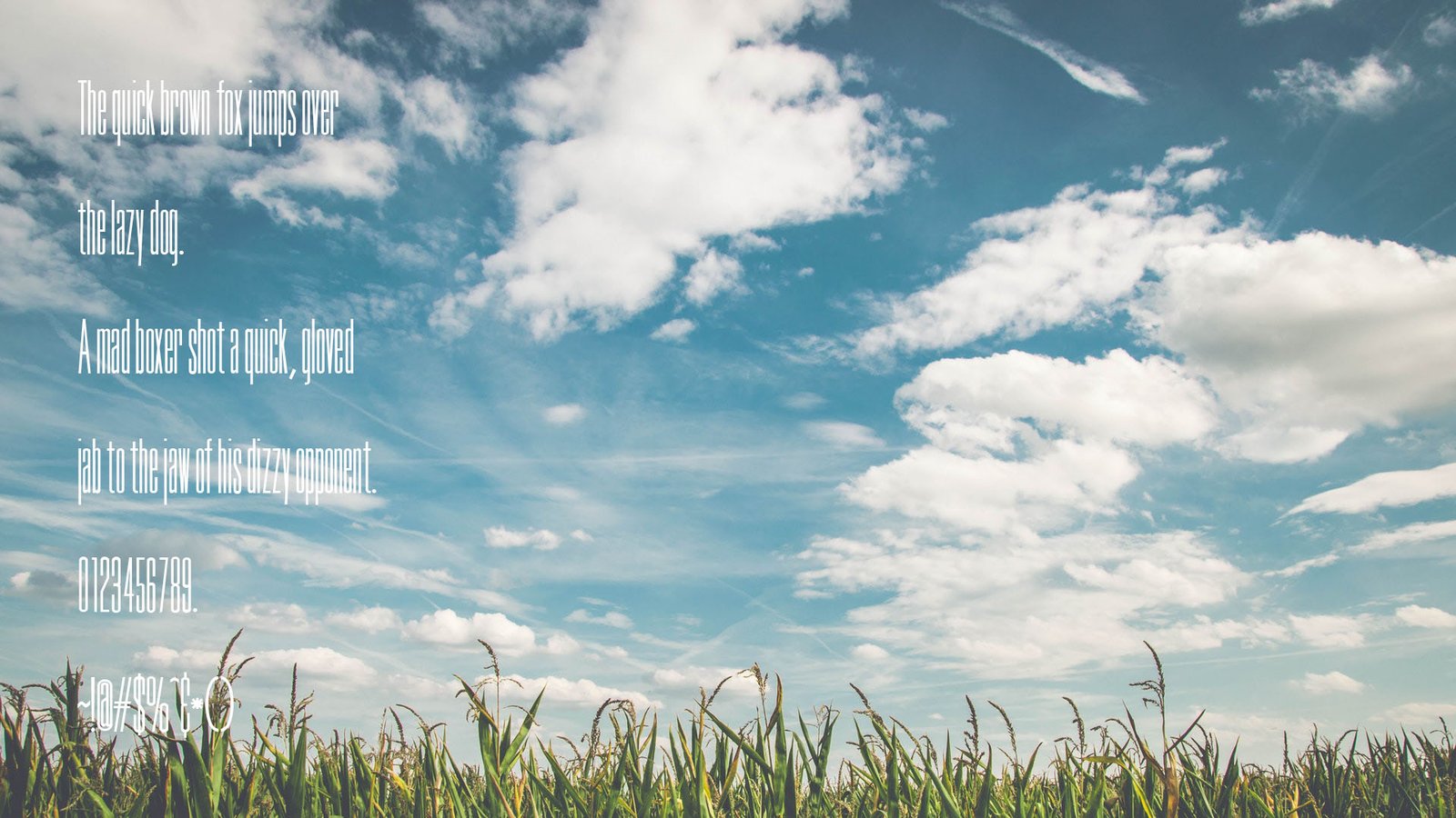 Tall Skinny Condensed Font