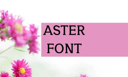 Aster Font Free Download