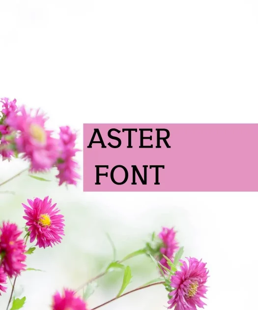 Aster Font Free Download