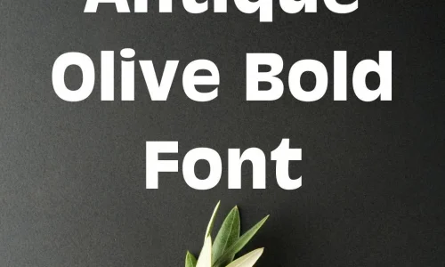 Antique Olive Bold Font Free Download
