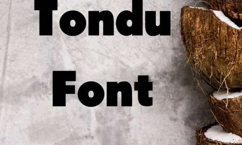 Tondu Font Free Download