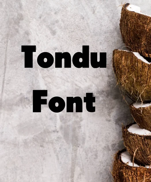 Tondu Font Free Download
