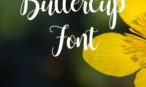 Buttercup Font Free Download