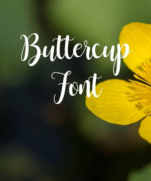 Buttercup Font Free Download
