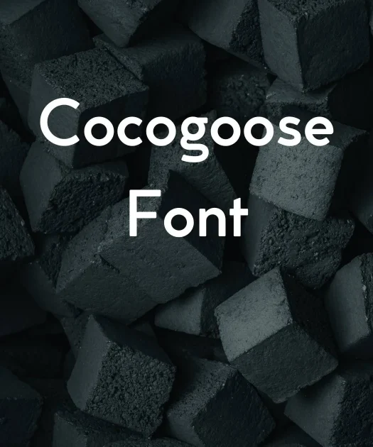 Cocogoose Font Free Download