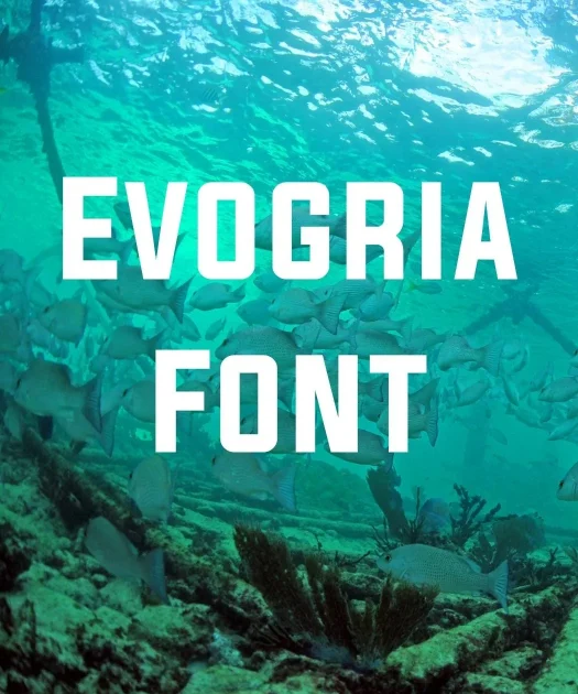 Evogria Font Free Download