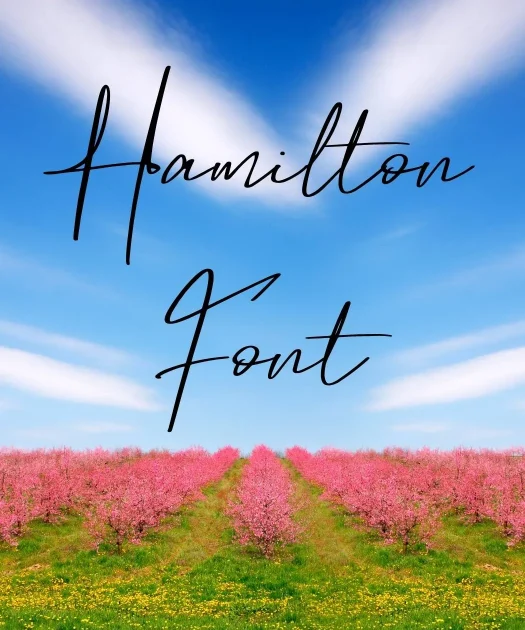 Hamilton Font Free Download