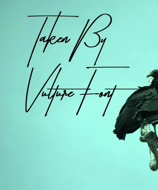Taken By Vultures Font Free Download