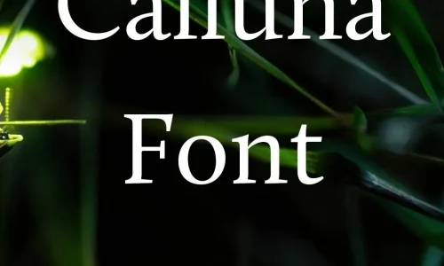 Calluna Font Free Download