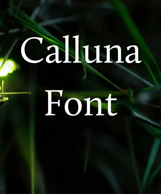 Calluna Font Free Download