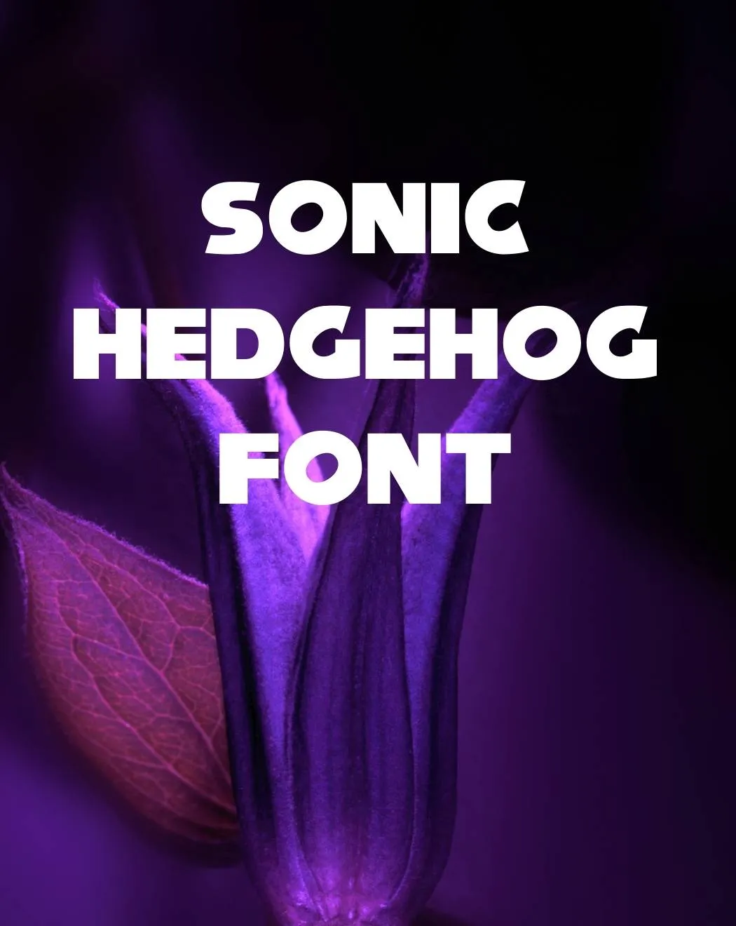Sonic Hedgehog Font Free download