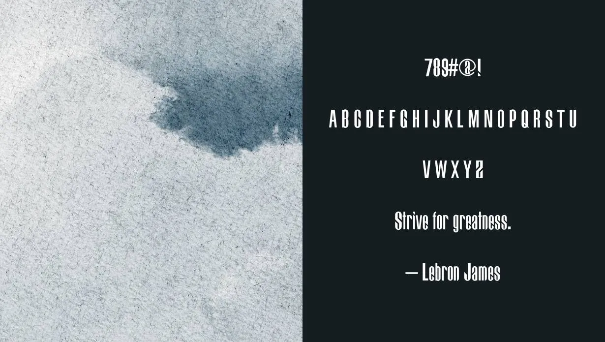 view of Bigdog Font Family