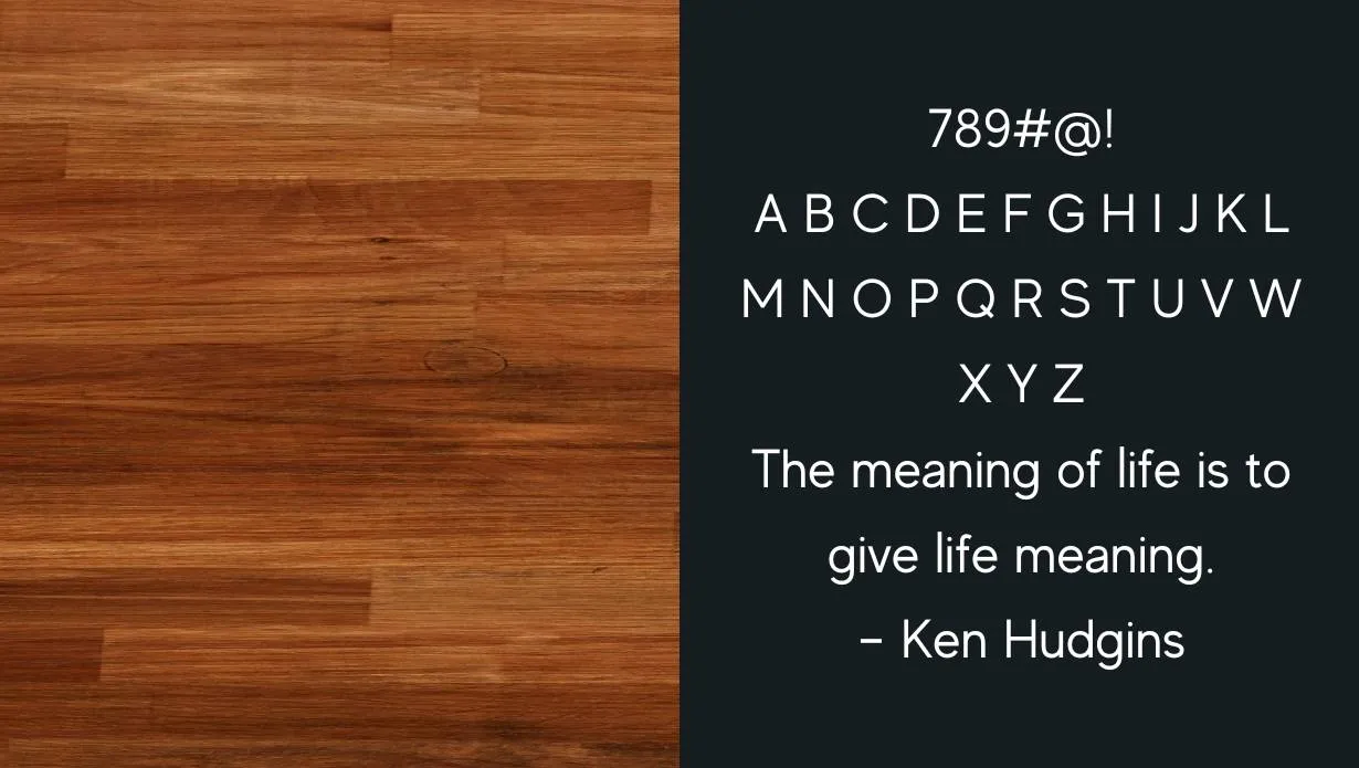 view of Made Evole Sans Font family