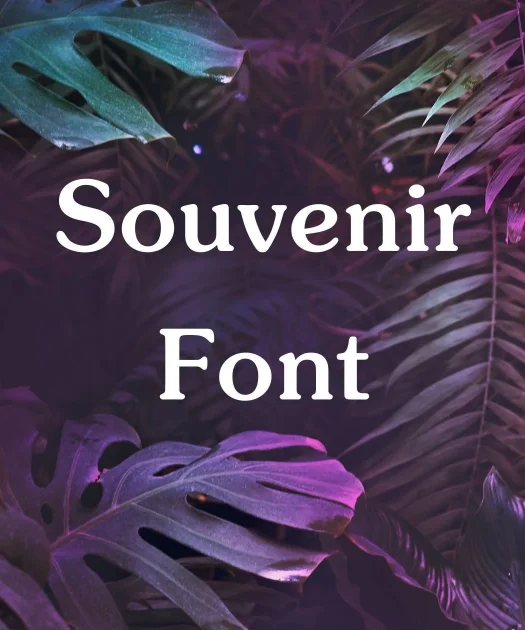 Souvenir Font Free Download